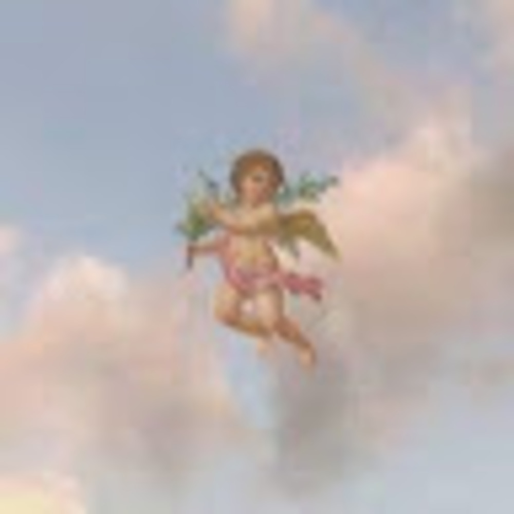 Meet your Posher, Bev